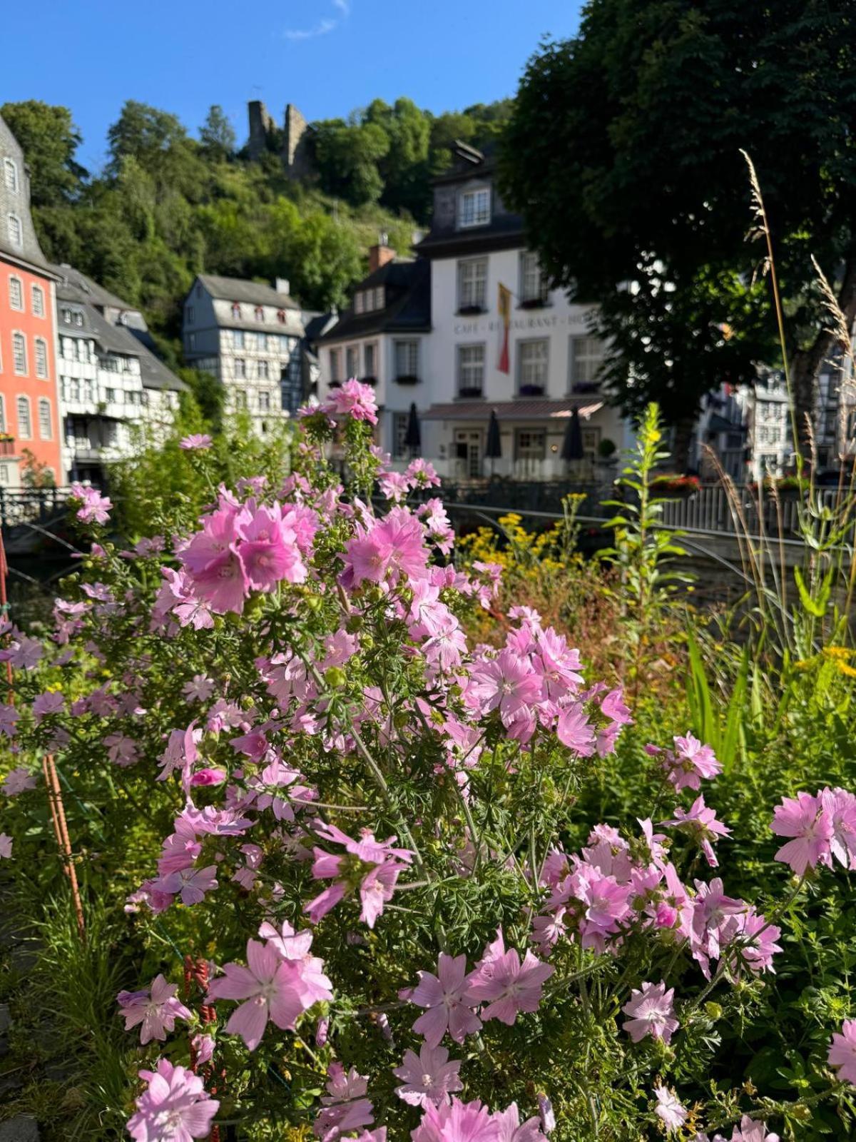 Fewo In Monschau Ngoại thất bức ảnh