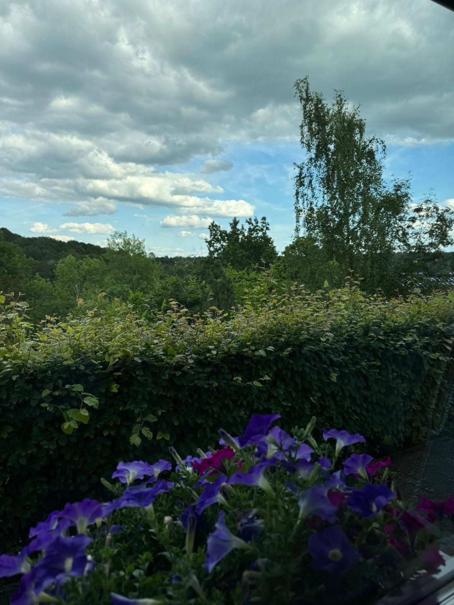 Fewo In Monschau Ngoại thất bức ảnh